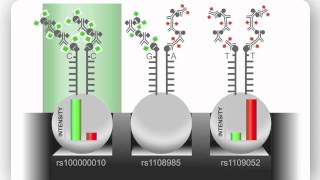 Illumina Infinium Assay An Overview [upl. by Nancee]