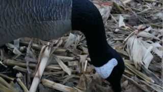 Waterfowl Field Hunting Tip Remove Frost From Decoys [upl. by Aria]