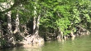 Canoeing the Pedernales River [upl. by Aldridge]