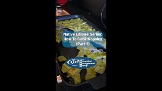 Native Edible Series 3 How To Cook Nopales Part 1 [upl. by Nabal]