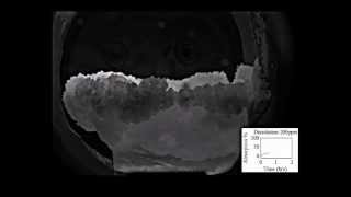 Methane Clathrate Hydrate wSDS [upl. by Einafit5]