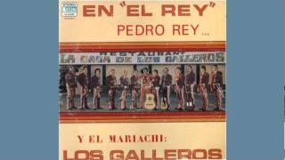 Mariachi Los Galleros de Pedro Rey Gavilan o Paloma [upl. by Valleau]