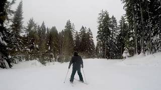 Marvel green run at Morillon ski area Grand Massif feb 2019 [upl. by Aisanat681]