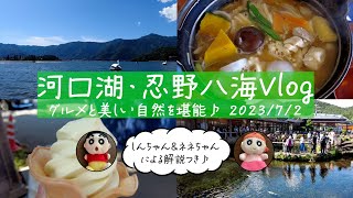 【Vlog】山梨観光♪河口湖と忍野八海で美しい自然とグルメを堪能♡ [upl. by Hardie623]