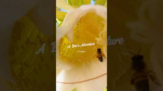 A Bees Adventure A Flower  Trailer animals flowers movie nature popular shorts tiktok up [upl. by Randee271]