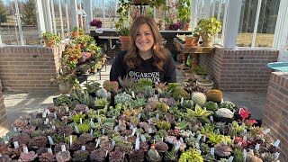 HUGE Succulent Unboxing 😳🌵😍  Garden Answer [upl. by Adnovay]