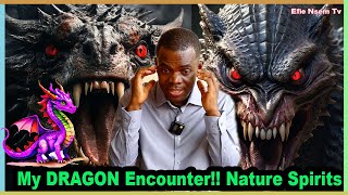 MY FIRST ENCOUNTER WITH A DRAGON SPIRIT  ExCatholic Priest Vs Harmony  Spiritual on Efie Nsem [upl. by Nickerson]