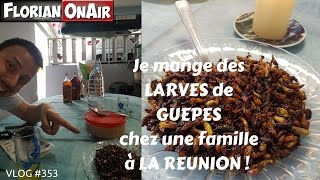 Je mange des LARVES DE GUEPES chez une famille à LA REUNION  VLOG 353 [upl. by Shipp641]