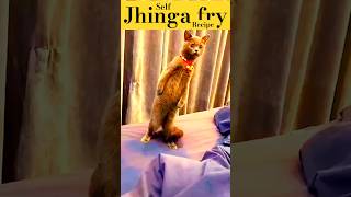 Jhinga Fry Recipe Himself Jhinga wants himself Fry  Just J😃king  jhinga [upl. by Attelrac]