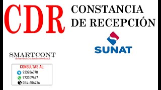 CONSTANCIA DE RECEPCION  SUNAT [upl. by Eiralih]