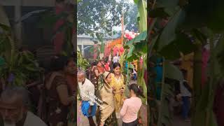 Happy chhath puja CSK Raj tetri naugachia bhagalpur bihar [upl. by Ajim]