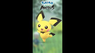 when you finally got a pichu in pokemon legends arceus 🥳 [upl. by Palecek]