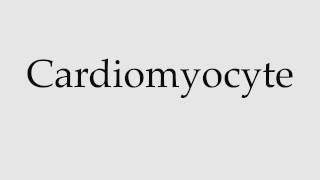 How to Pronounce Cardiomyocyte [upl. by Grani]