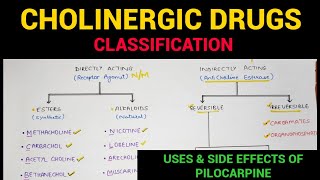 Autonomic Pharmacology  4  Cholinergic Drugs Classification  EOMS [upl. by Johnny]