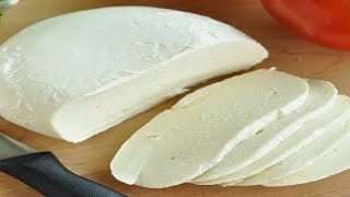 Mozzarella cheese  Best Homemade mozzarella cheeseMozzarella cheese by Zaan Recipes [upl. by Aneeb]