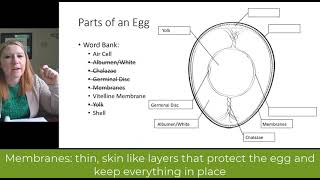 Embryology Lesson 1 [upl. by Taber]