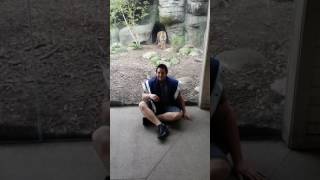 Indianapolis Zoo Tiger Encounter [upl. by Lawson]