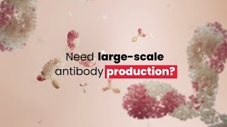 Need largescale antibody production [upl. by Alel]