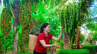 Harvesting Arenga Pinnata amp Goes To Market Sell  Gardening And Cooking  Lý Tiểu Vân [upl. by Swart]