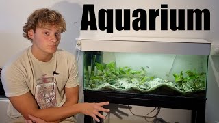 My African Shelldweller Aquarium [upl. by Mintun]