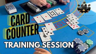 Blackjack Card Counting Training Can You Keep Up [upl. by Meadows]