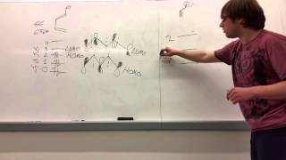 Molecular Orbital Theory Basics  Carbon Chains [upl. by Annahsat]