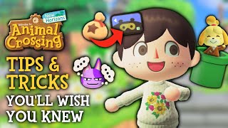 Tips amp Tricks I WISH I Knew Sooner in Animal Crossing New Horizons [upl. by Wende554]