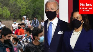 quotWe have open borders on the southern borderquot GOP Senator demands Biden Harris visit border [upl. by Millard321]