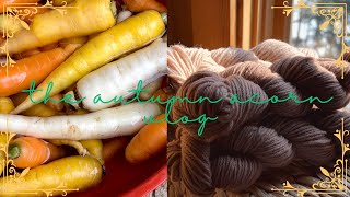 Dyeing Wool With Black Walnut  Harvesting Carrots A Vlog [upl. by Anniahs]