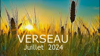 VERSEAU JUILLET 2024 〰️Votre Lecture Tarots [upl. by Anomor]