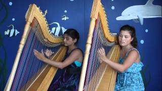 Luz Marina Harp Duo  Pájaro Campana [upl. by Niret458]