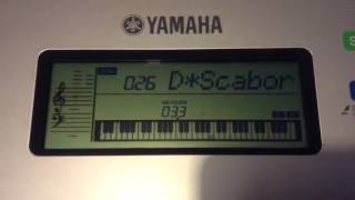 Yamaha YPT255 Scarborough Fair [upl. by Vookles]