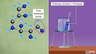 Reducing and Non Reducing Sugars [upl. by Intisar951]