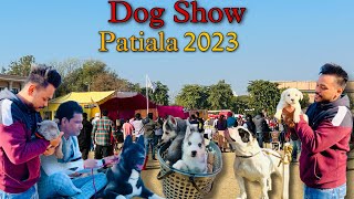 Dog show patiala • 2023 [upl. by Haddad]