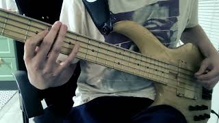 Willie Hutch  I Choose You bass cover [upl. by Church]