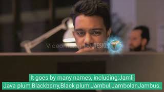 Purple fruit Jamun  Benefits for Your Health and Wellness [upl. by Madriene]