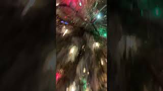 Maudit qu’il est beau mon sapin 🌲🤣 christmas noel christmastree sapindenoel trend [upl. by Beitnes]