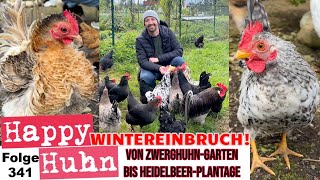 Wintereinbruch Ein Rundgang von Zwerghühner bis HeidelbeerPlantage  April Teil 2 HAPPY HUHN E331 [upl. by Aynatahs]