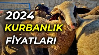 KURBANLIK KOÇ FİYATLAR  HAYVAN PAZARI GÜNCEL FİYATLAR [upl. by Craggie]