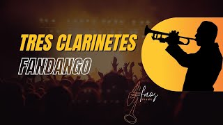 Tres Clarinetes  Fandango Papayera [upl. by Ferd]