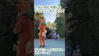 でっかいけど愛らしい！ディズニーパレードのトナカイに癒されたクリスマスディズニークリスマス クリスマスパレード ディズニーダンサー クリスマスストーリーズ トナカイ ディズニーランド [upl. by Ahseiyk]