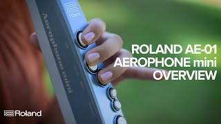 Roland AE01 Aerophone mini Overview [upl. by Ynetsed]