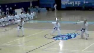 Seido Karate England  Kata Demo in New York 2006 [upl. by Nylatsyrc]