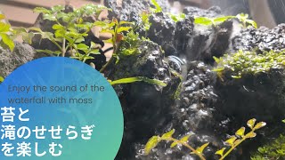 苔と滝のせせらぎを楽しむ【Enjoy the sound of the waterfall with moss】 [upl. by Baten]