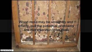 how to treat mold on wood [upl. by Oivlis]