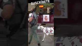 🇪🇸LA MASCOTA DE LEGIÓN  KILLO  DESFILANDO EL DÍA DE LA HISPANIDAD🇪🇸 shorts viral legion españa [upl. by Itteb]