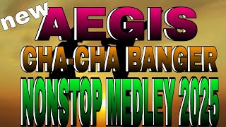 AEGIS CHACHA BANGER NONSTOP REMIX 2025 LUPIT NITO nonstopbattlemixDJKAARITITMIXTV [upl. by Eiramac]