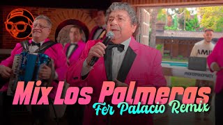 No Ferpa no party Super remix Los Palmeras by Fer Palacio [upl. by Yromem]