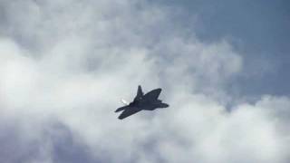 F22 Raptor Hovers and Travels Backwards and performs other Maneuvers [upl. by Nnainot]