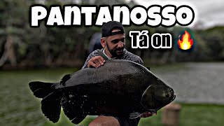 PANTANOSSO começou às ações na superfície [upl. by Sal]